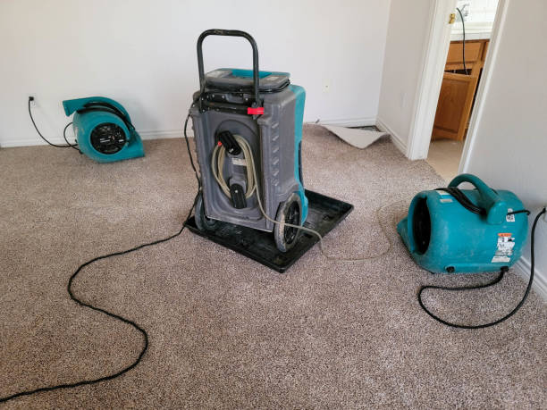 24/7 water damage repair in Five Points, FL