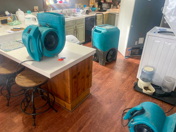 Best Emergency water damage restoration  in Five Points, FL