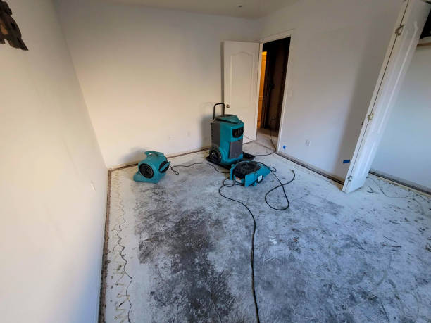 Best Water damage restoration services  in Five Points, FL