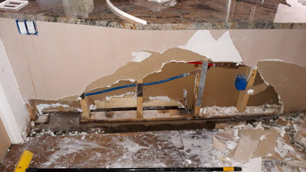 Best Flooded house restoration  in Five Points, FL