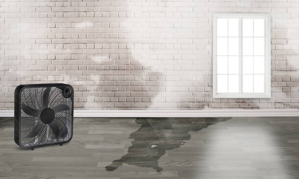 Best Emergency water damage restoration  in Five Points, FL