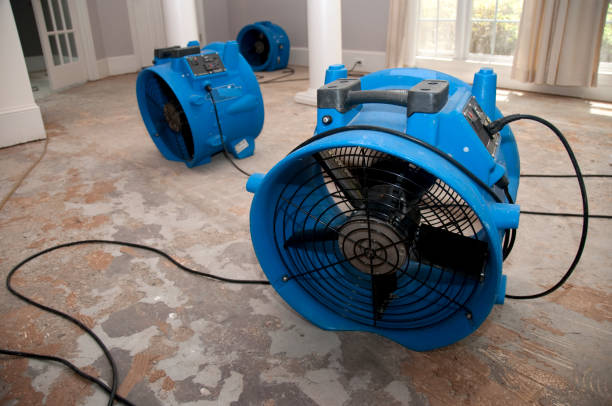 Best Emergency water damage restoration  in Five Points, FL
