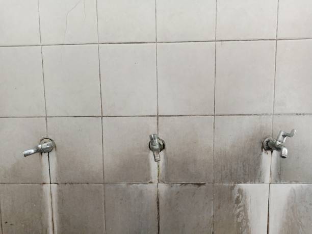 Best Fire Damage Restoration  in Five Points, FL
