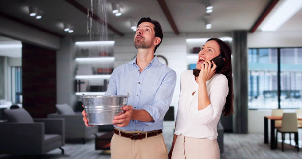 Best Ceiling water damage repair  in Five Points, FL