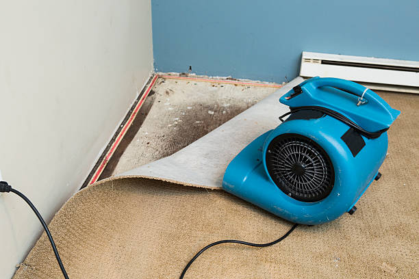 Best Sewage cleanup and water damage restoration  in Five Points, FL