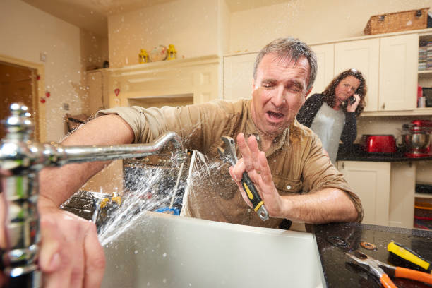 Best Local water damage restoration  in Five Points, FL